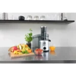 efficient fruit vegetable juicer